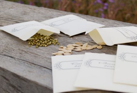 Guide to Seed Saving Image